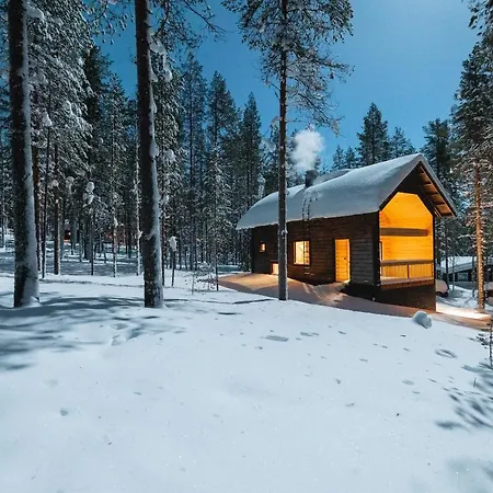 Black Work Levi Aihki *